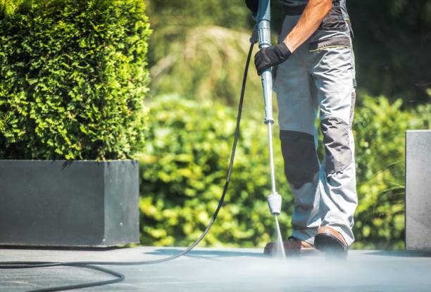 Best Warehouse Cleaning  in Chalfant, CA